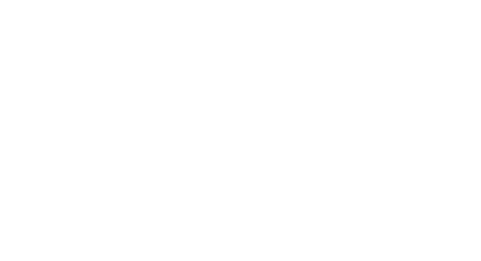 MGR Vision